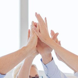 �����²ż汸�������Ŷ�